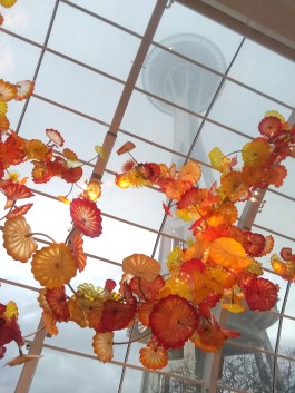 IMG_20181216_155721925