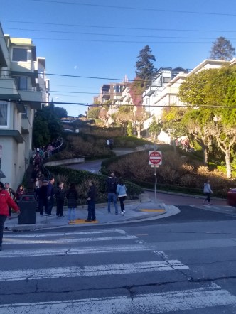 IMG_20181227_093204527_HDR