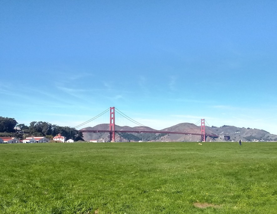 IMG_20181228_111337418_HDR